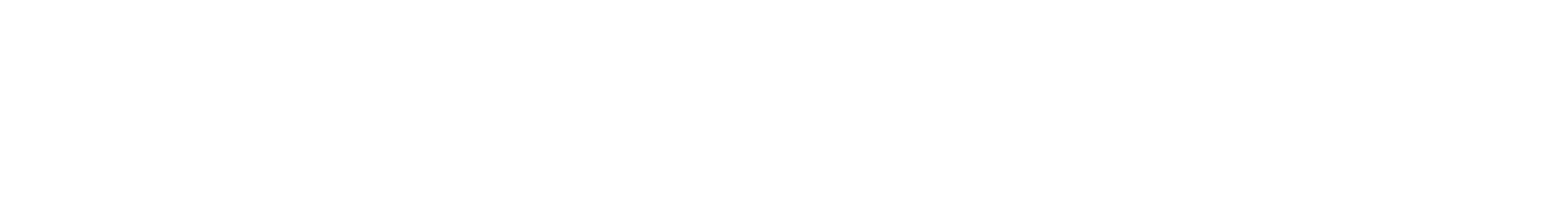 Travel Trick Logo